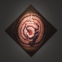 Regeneration, 2012 --- 171 x 171cm as a diamond Photography; C-type Lambda print mounted on aluminium (image courtesy of Peter Hope)