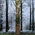 Un-seeing, 2012 --- 115 x 180cm Photography; C-type Lambda print, framed in black