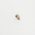Toe, 2012 --- My father's little toe cast in bronze 3 x 2 x 2cm Object 