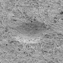 The Other Side, 2013 --- Electron micrograph of the indentation of a full stop on my late Grandmother's note pad 150 x 250cm Electron micrograph; C-type Lambda Print, diasec mounted