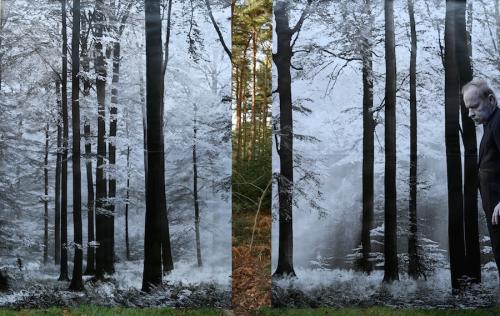 Un-seeing, 2012