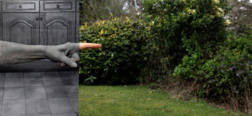Diversion of Interest, 2016, Photography, 35 x 75cm, Mother's grey painted pointing arm, in front of black and white backdrop, within her garden.