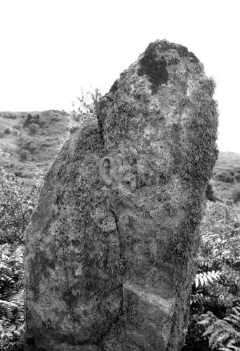 The Uncarved Block (Ear grafted onto Neolithic menhir) 2017 53 x 79cm